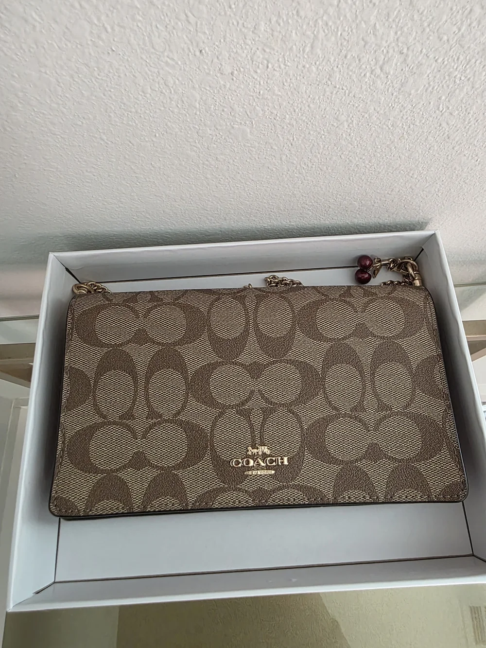 Coach Signature Canvas Crossbody Bag in Brown